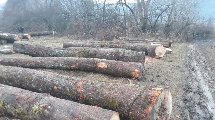 原產地直銷「中木商網」臺灣巧雅國際木業行嘉善聯美貿易有限公司產品