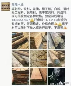 找原木,找板材,在這里,2017年9月16日 ,精品木材 銷售信息,履約思源,不忘初心 財(cái)經(jīng) 網(wǎng)