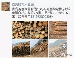 找原木,找板材,在這里,2017年4月4日 ,精品木材銷售信息,履約思源,不忘初心 