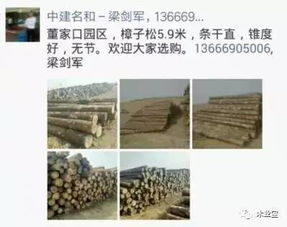 找原木,找板材,在這里,2017年4月8日 ,精品木材銷(xiāo)售信息,履約思源,不忘初心 其它 網(wǎng)